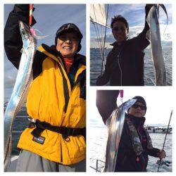 ビッグファイター 釣果