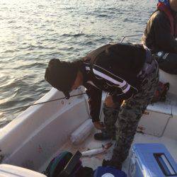 「LaGooN」蒼陽丸 日和号 釣果