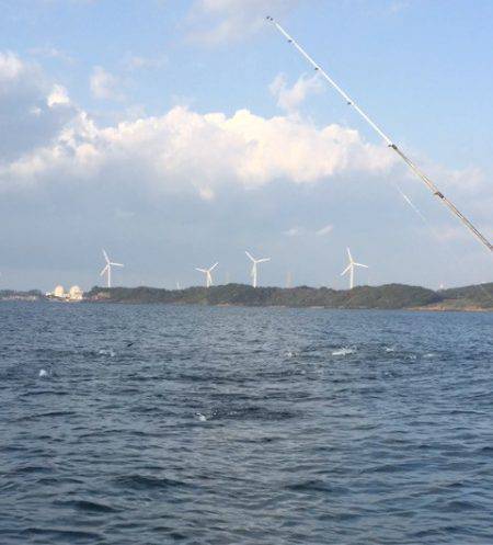 「LaGooN」蒼陽丸 日和号 釣果