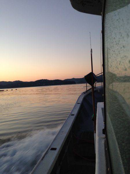 じゅん栄丸 釣果