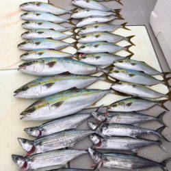 浜栄丸 釣果