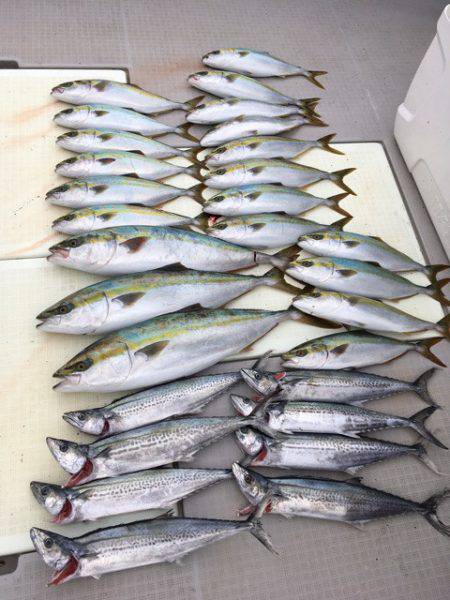 浜栄丸 釣果