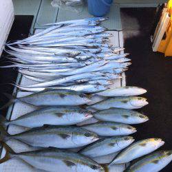 エムズジャーク（M’s JERK） 釣果