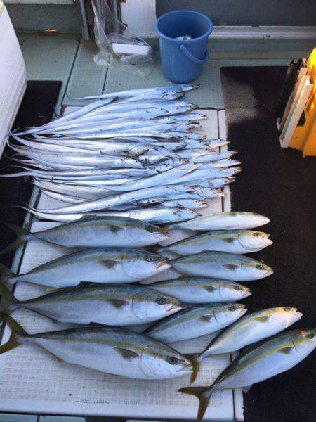 エムズジャーク（M’s JERK） 釣果