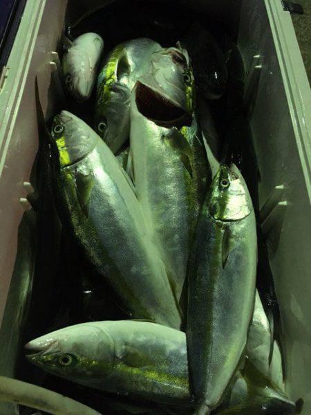 第二八坂丸 釣果