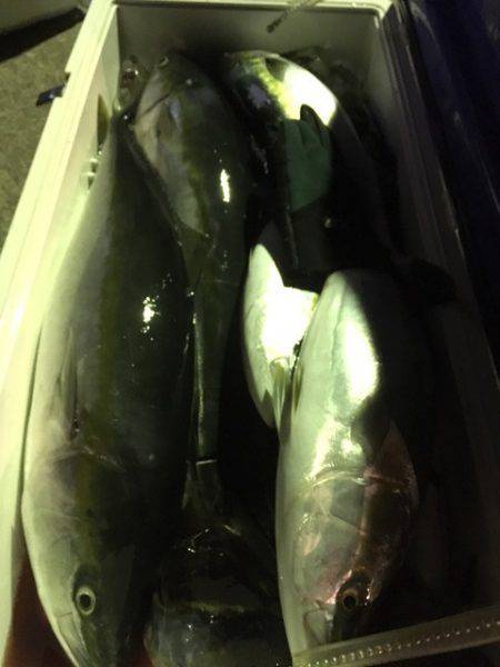 第二八坂丸 釣果