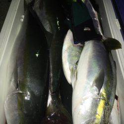 第二八坂丸 釣果