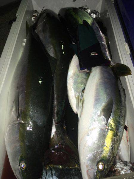 第二八坂丸 釣果