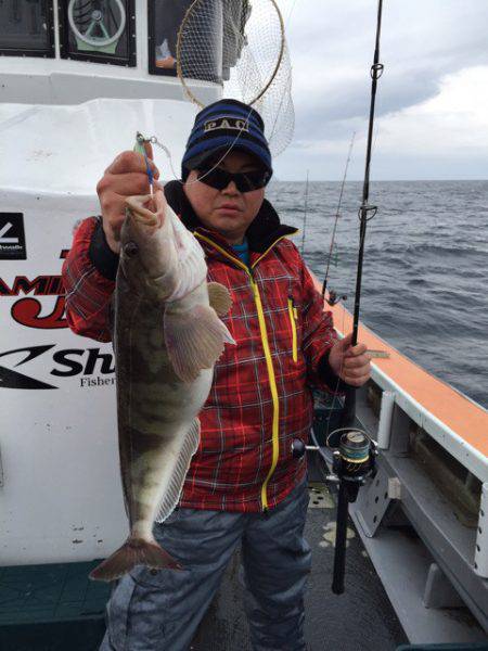 シーランチ 釣果