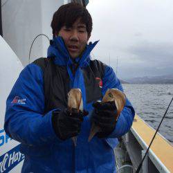 シーランチ 釣果