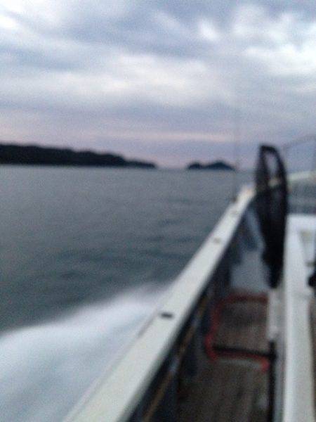 じゅん栄丸 釣果