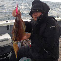 じゅん栄丸 釣果