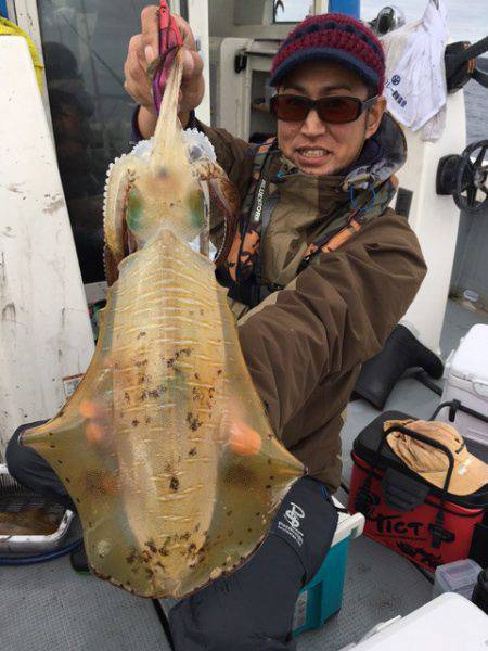 エヌスタイル 釣果