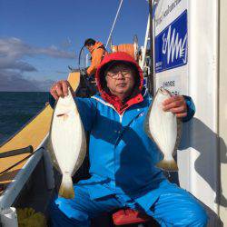 シーランチ 釣果