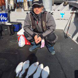 シーランチ 釣果