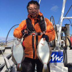 シーランチ 釣果