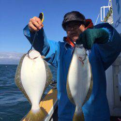 シーランチ 釣果