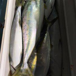 第二八坂丸 釣果