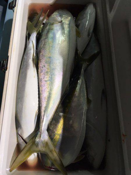 第二八坂丸 釣果