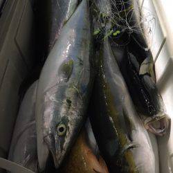 第二八坂丸 釣果