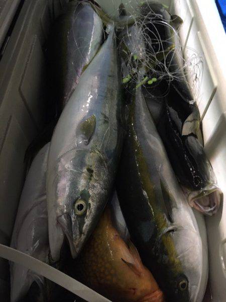 第二八坂丸 釣果