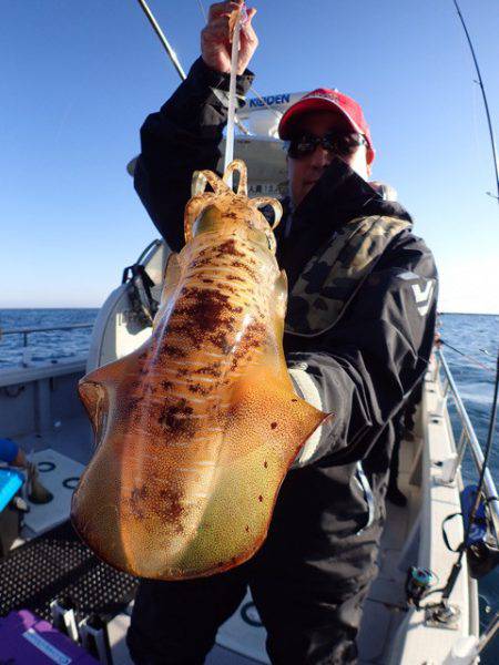 まるいち丸 ZERO-1 釣果