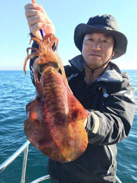 まるいち丸 ZERO-1 釣果