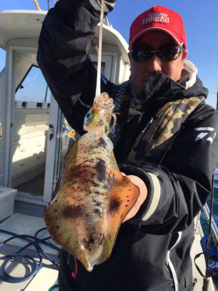 まるいち丸 ZERO-1 釣果