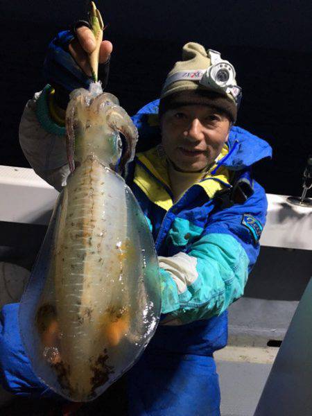 エヌスタイル 釣果