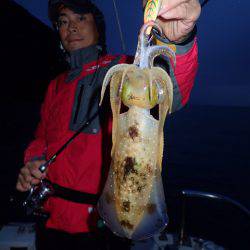 まるいち丸 ZERO-1 釣果