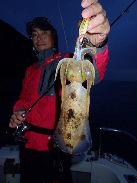 まるいち丸 ZERO-1 釣果