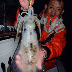 まるいち丸 ZERO-1 釣果