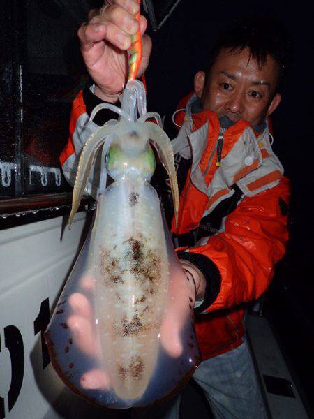 まるいち丸 ZERO-1 釣果