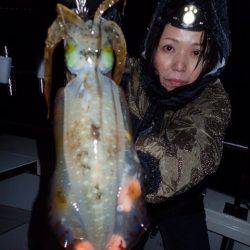 まるいち丸 ZERO-1 釣果