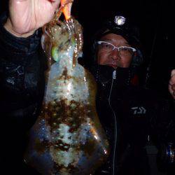 まるいち丸 ZERO-1 釣果