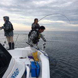 うさぎ丸 釣果