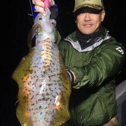 エヌスタイル 釣果