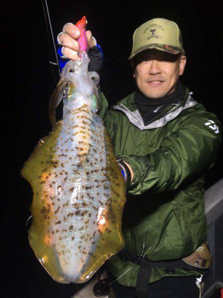 エヌスタイル 釣果