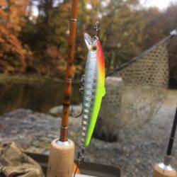 白州トラウトフィッシングエリア　シルフ 釣果