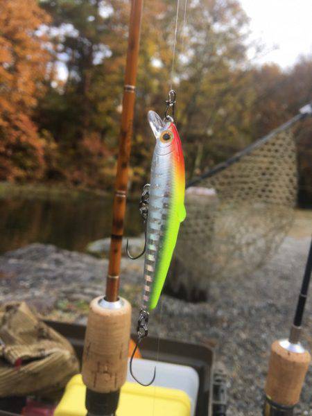 白州トラウトフィッシングエリア　シルフ 釣果