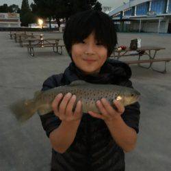 としまえんフィッシングエリア 釣果