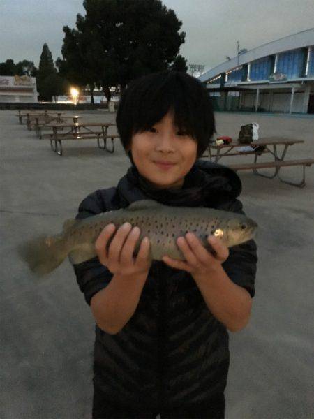 としまえんフィッシングエリア 釣果