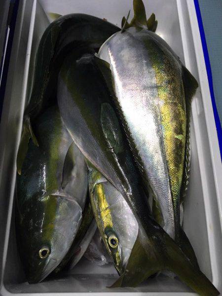 第二八坂丸 釣果