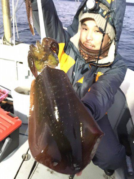 エヌスタイル 釣果