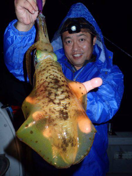 まるいち丸 ZERO-1 釣果