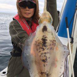 エヌスタイル 釣果