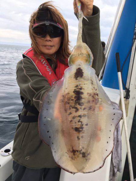 エヌスタイル 釣果