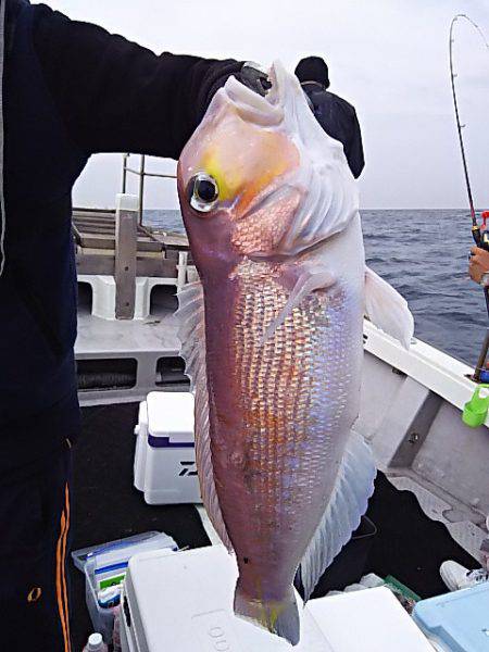 光生丸 釣果