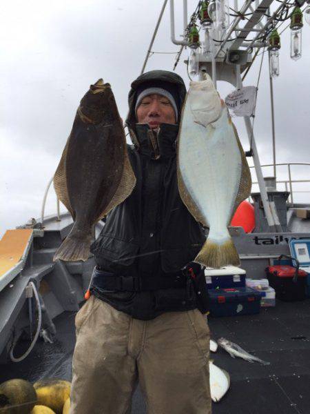 シーランチ 釣果