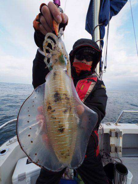 まるいち丸 ZERO-1 釣果